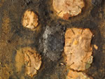 Click thumbnail to enlarge.