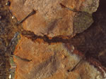 Click thumbnail to enlarge.