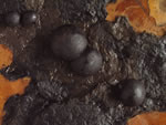 Click thumbnail to enlarge.