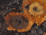Click thumbnail to enlarge.