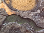 Click thumbnail to enlarge.