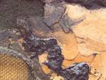 Click thumbnail to enlarge.