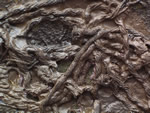 Click thumbnail to enlarge.