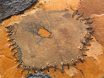 Click thumbnail to enlarge.