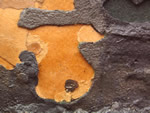 Click thumbnail to enlarge.