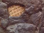 Click thumbnail to enlarge.