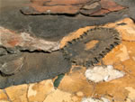Click thumbnail to enlarge.