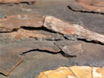 Click thumbnail to enlarge.