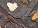 Click thumbnail to enlarge.