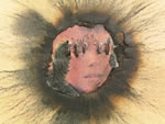 Click thumbnail to enlarge.
