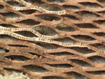 Click thumbnail to enlarge.