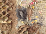 Click thumbnail to enlarge.