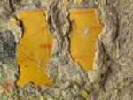 Click thumbnail to enlarge.
