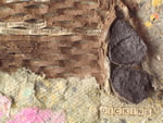 Click thumbnail to enlarge.