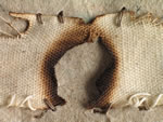 Click thumbnail to enlarge.