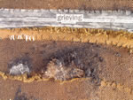 Click thumbnail to enlarge.
