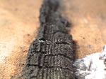 Click thumbnail to enlarge.