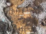 Click thumbnail to enlarge.