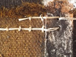 Click thumbnail to enlarge.