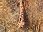 Click thumbnail to enlarge.