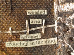 Click thumbnail to enlarge.