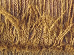 Click thumbnail to enlarge.